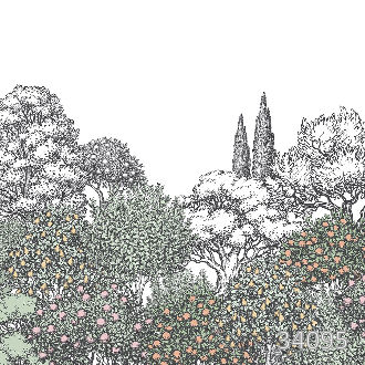 Garden color